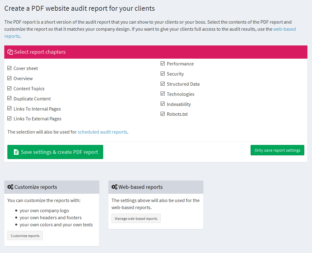 website audit report